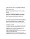 GOBIERNO Y CONTROL CORPORATIVO