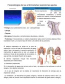 Fisiopatologías de las enfermedades respiratorias agudas