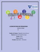 ¿QUÉ SON LOS ESTILOS DE APRENDIZAJES?