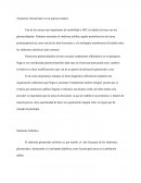 Tastornos glomerulares en la práctica médica