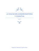 LA EDUCACIÓN SENSORIOMOTORA Y COGNITIVA