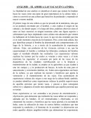 ANÁLISIS – EL AMOR A LAS VACAS EN LA INDIA