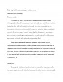 Pesca ilegal en Chile: una amenaza para la merluza común