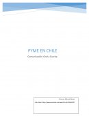 Pyme en Chile