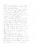 Impacto de actividades humanas sobre la naturaleza