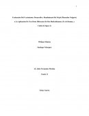 Evaluación Del Crecimiento, Desarrollo y Rendimiento Del Frijol