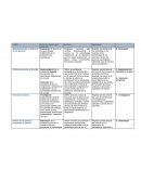 Ambitos y acciones (alineacion)