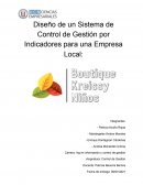 Diseño de un Sistema de Control de Gestión por Indicadores para una Empresa Local