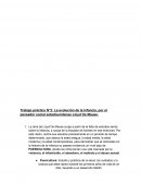Trabajo práctico N°2: La evolución de la Infancia, por el pensador social estadounidense Lloyd De Mause