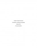 Estudio Financiero. Formulación y evaluación de proyectos
