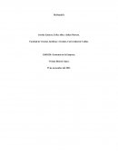 Economia de la Empresa.McDonald’s