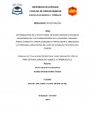 DETERMINACION DE LOS FACTORES DE RIESGO MEDIANTE PRUEBAS BIOQUIMICAS EN LOS TRABAJADORES DE LA HACIENDA “SECADAL”