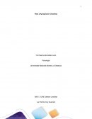 RELATORIA ENCUENTRO EN SKYPE