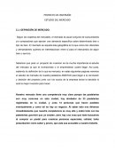 PROYECTO DE INVERSIÓN. ESTUDIO DEL MERCADO