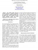 Proyecto. Máquinas eléctricas