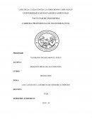 Causas de la derrota de sendero luminoso