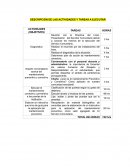 DESCRIPCIÓN DE LAS ACTIVIDADES Y TAREAS A EJECUTAR
