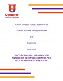 RESPIRACIÓN ANAEROBIA DE CARBOHIDRATOS POR SACCHAROMYCES CEREVISIAE