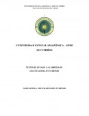 GUIA SOCIOLOGIA DEL TURISMO-IC