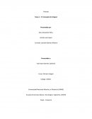 Area 1 - El Concepto de Integral