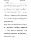 EMPRESA LINUM Sinergía profesional