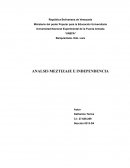 ANALSIS MEZTIZAJE E INDEPENDENCIA
