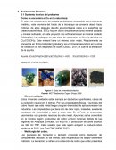 Como se encuentra el Cu en la naturaleza