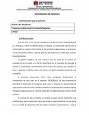 PROYECTO Tecnoglass Inc.