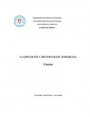 Clasificación e identificación jerárquica