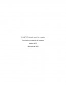 Desarrollo preguntas VANS