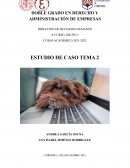 ESTUDIO DE CASO RRHH