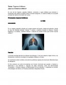 Órganos linfáticos