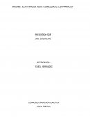 INFORME “IDENTIFICACIÓN DE LAS TECNOLOGÍAS DE LA INFORMACIÓN”