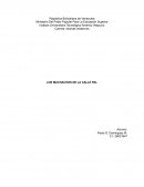 Los muchachos de la calle Pal