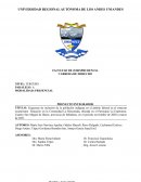 Esquemas de inclusión de la población indígena en el ámbito laboral en el contexto ecuatoriano