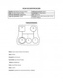 Evaluación de las capacidades cognitivas generales