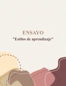Ensayo estilos de aprendizaje