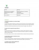 Tecnologias de información para los negocios