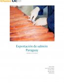 Exportación de Salmón a Paraguay