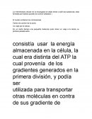 Un viaje por la celula