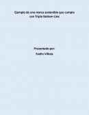 Ejemplo de una marca sostenible que cumpla con Triple Bottom Line