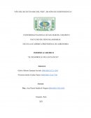 El desarrollo de las plantas