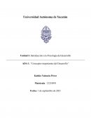 Conceptos de desarrollo infantil