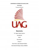 Neumonía