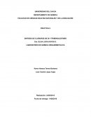 SINTESIS DE CLORUROS DE DI Y TRIBENCILESTAÑO