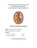 Protocolo de elaboracion de mermelada