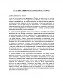 ANALISIS AMBIENTAL DE ORGANIZACIONES
