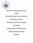 Ensayo desigualdad de México