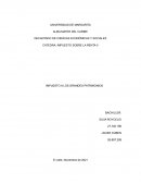 IMPUESTO SOBRE LA RENTA II