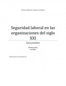 Seguridad laboral en las organizaciones del siglo XXI. Caso practico